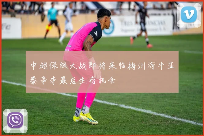 中超保级大战即将来临梅州海牛亚泰争夺最后生存机会